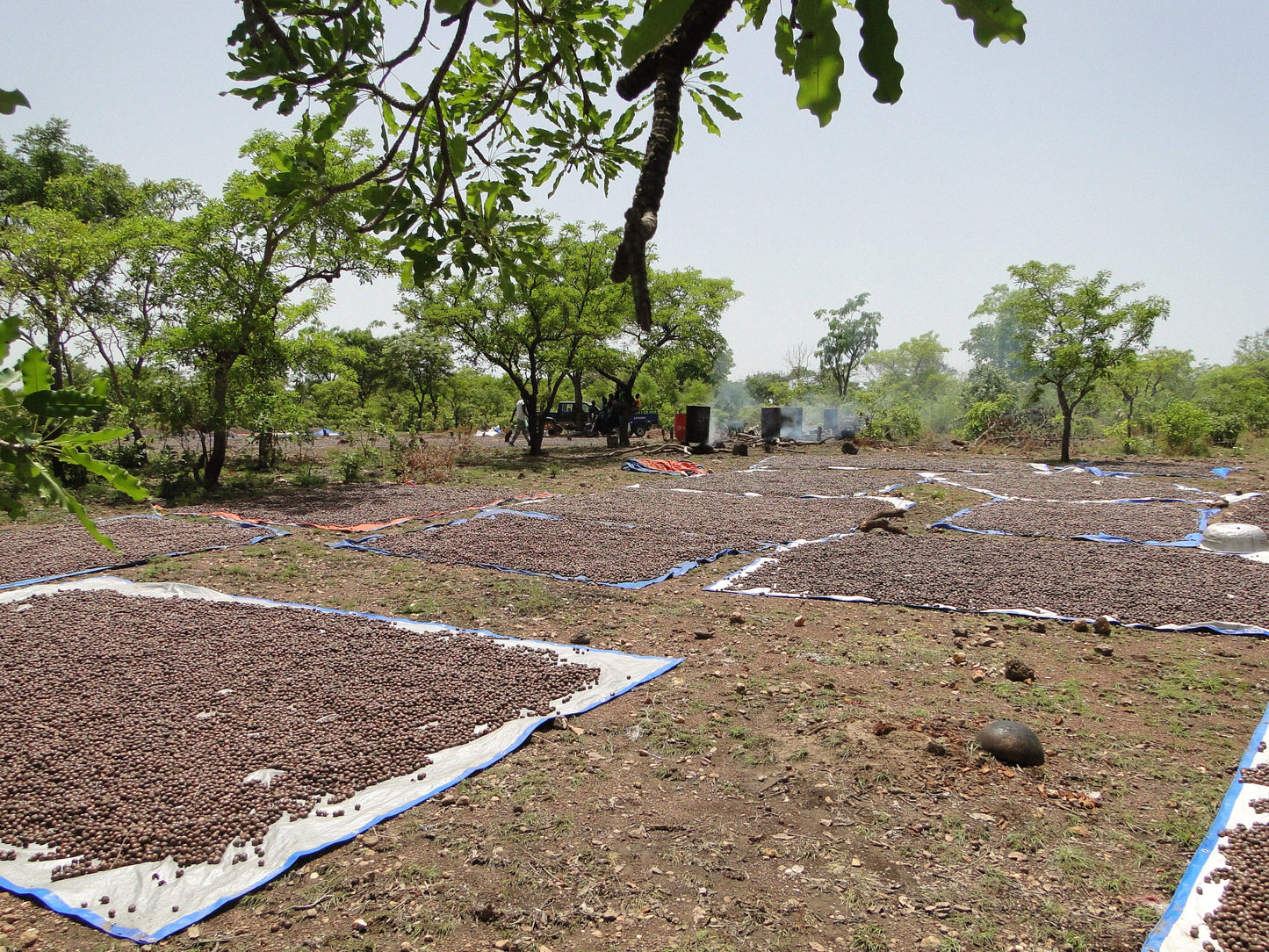 Ombelle Moami ekologiskt sheasmör, berikat med vitamin E