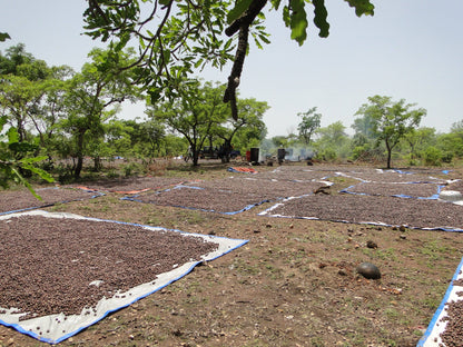 Ombelle Moami ekologiskt sheasmör, berikat med vitamin E